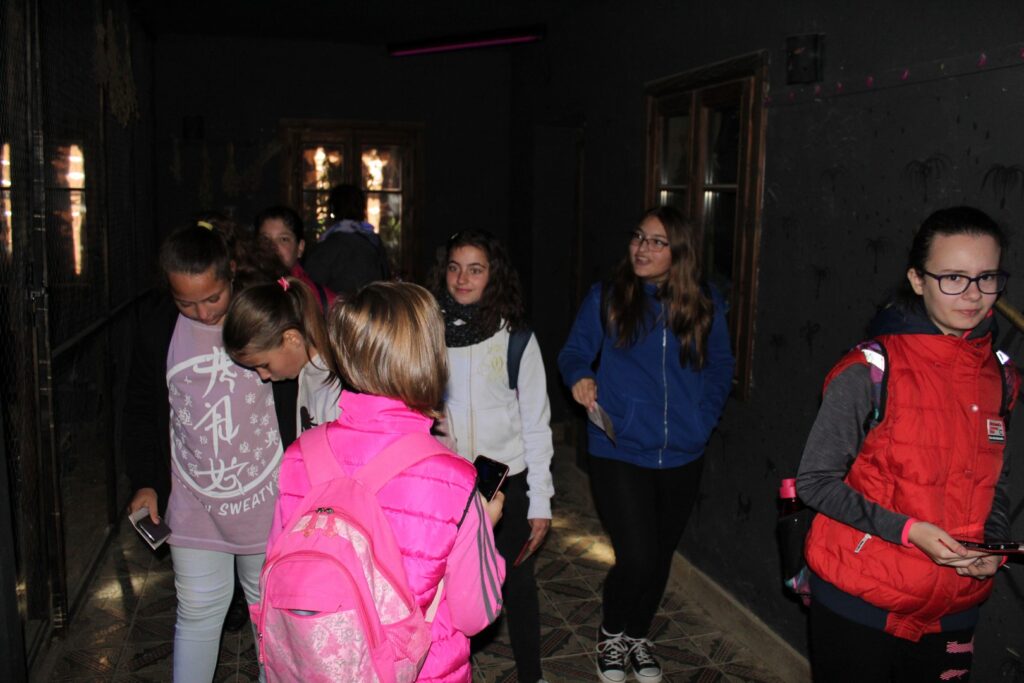 img-0643