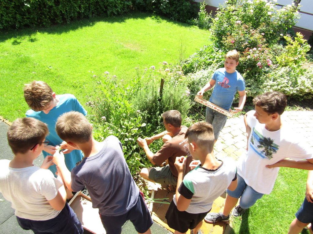 img-0656-1