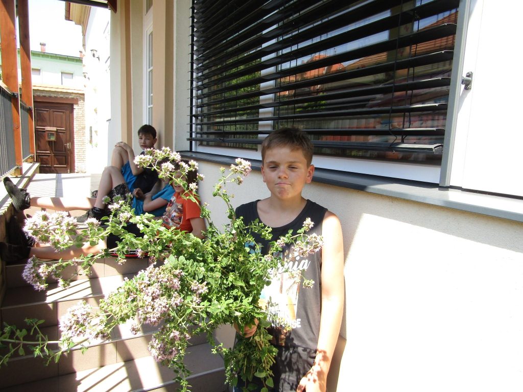 img-0672-2