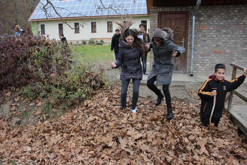 img-0773