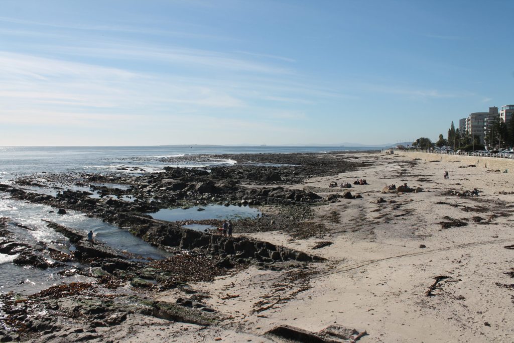 img-0814-scaled-1