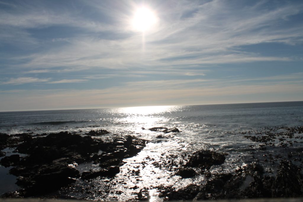 img-0823-scaled-1