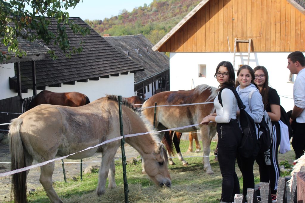img-0857