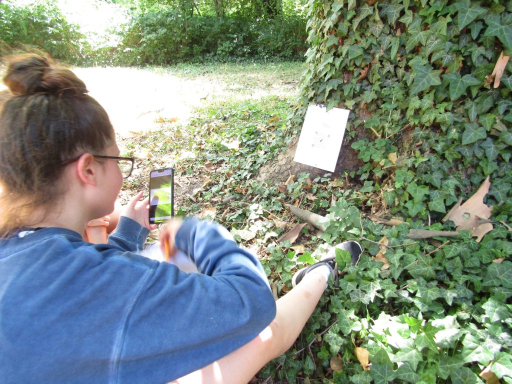 img-0877