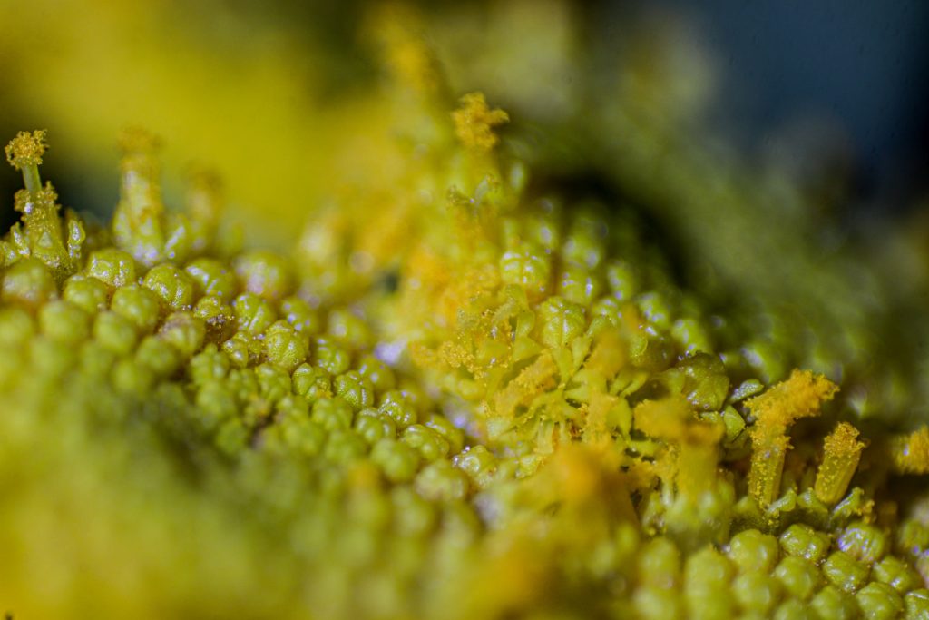 img-0894