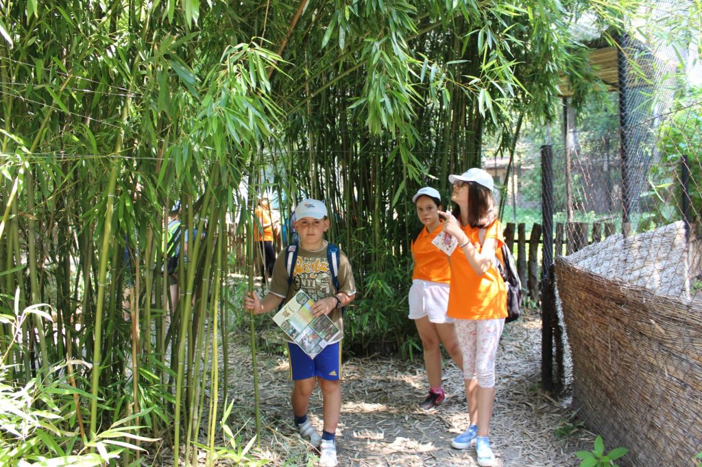 img-0954-4