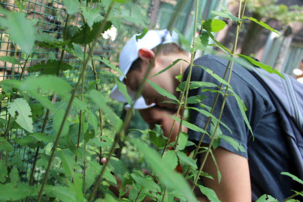 img-0986