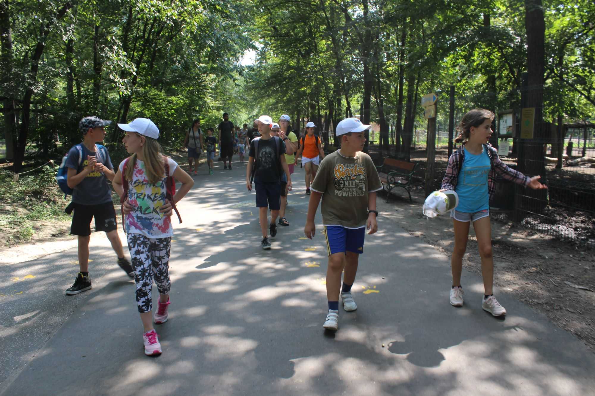img-0987
