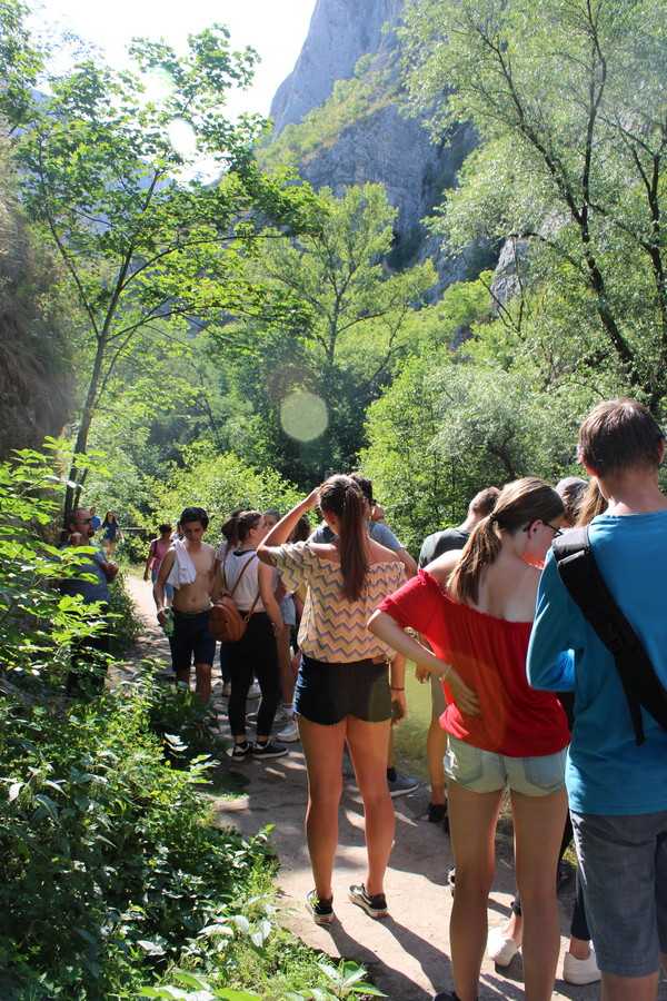 img-1083