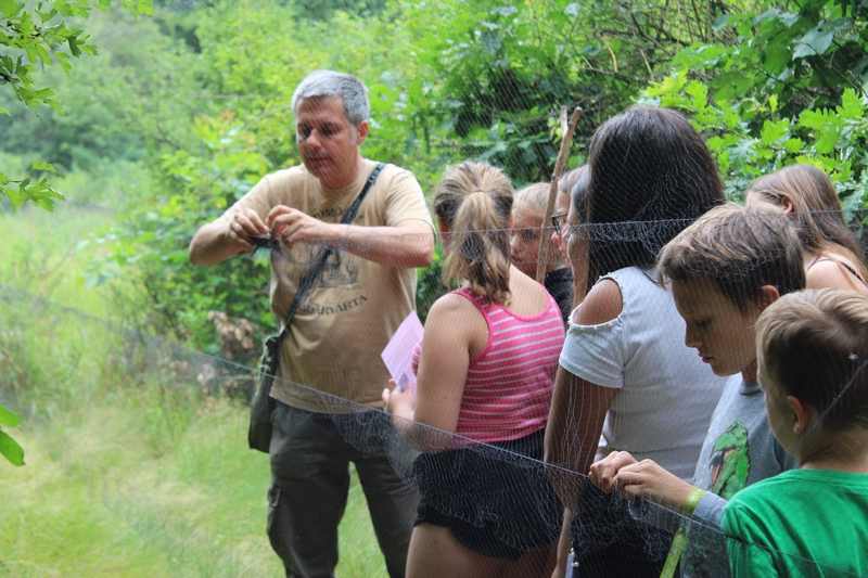 img-1263