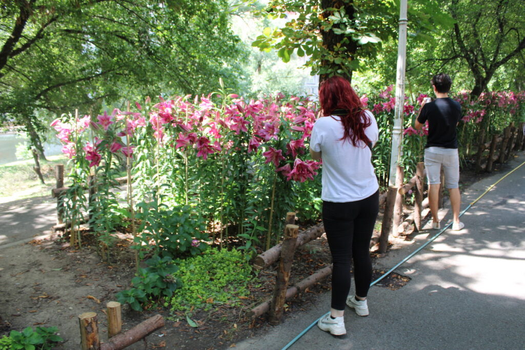 img-1265