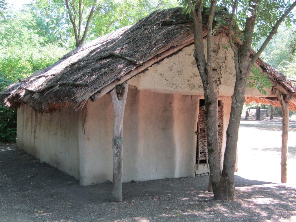 img-1312