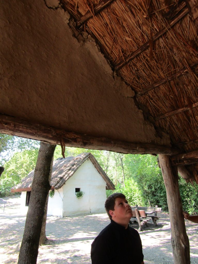 img-1318-rotated-1