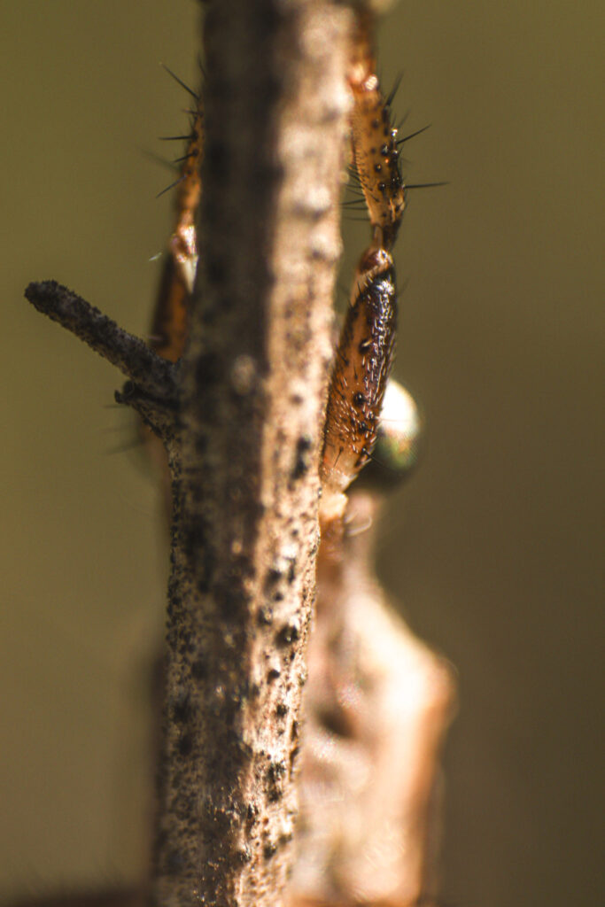 img-1340-scaled-2