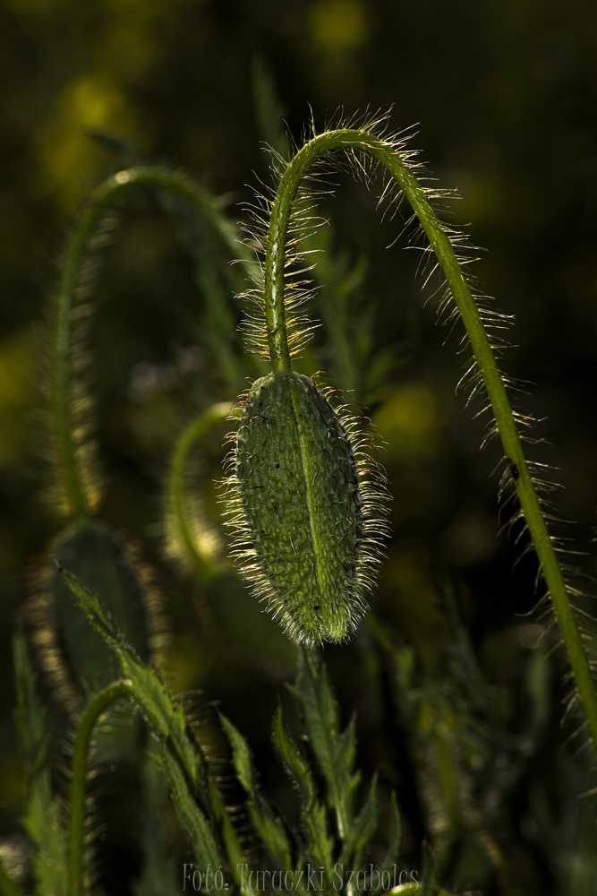 img-1459-9