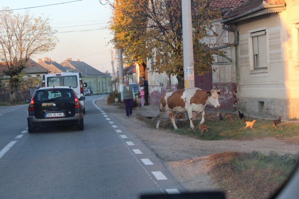 img-1466-3