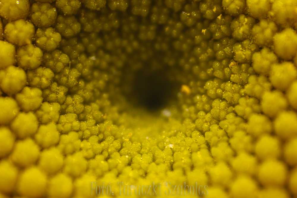 img-1480-2