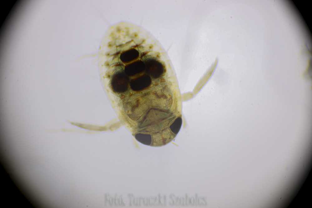 img-1570-1