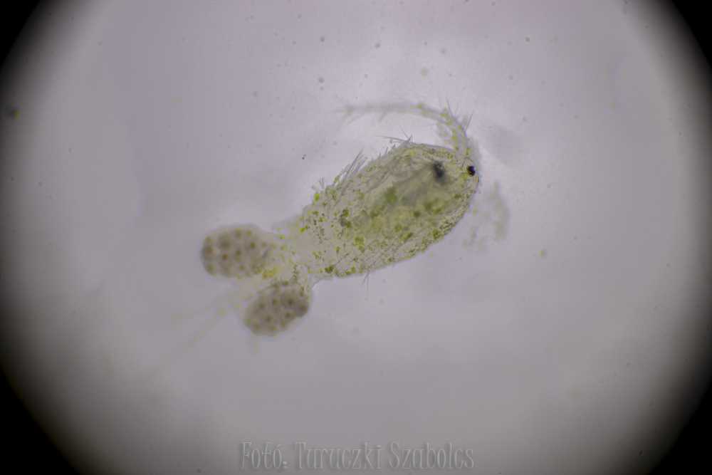 img-1576-1