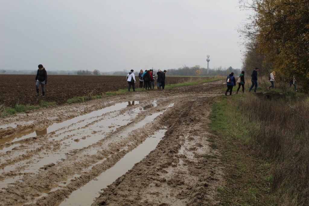 img-1667-scaled-2