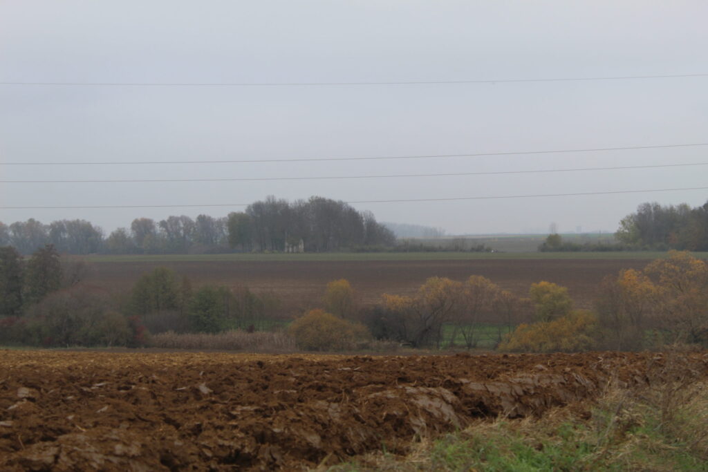 img-1685-scaled-1