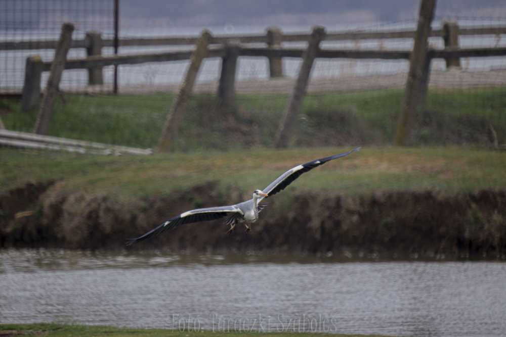 img-1687-1