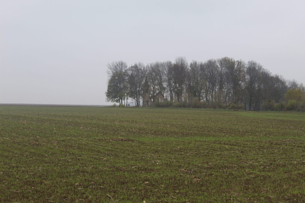img-1694-scaled-1
