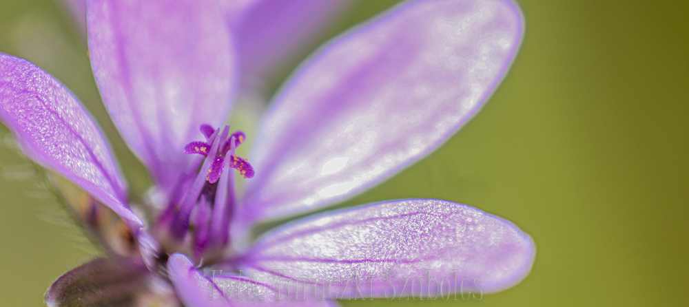 img-1718-3