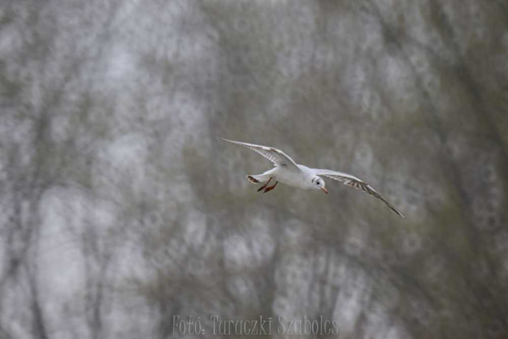 img-1735-1