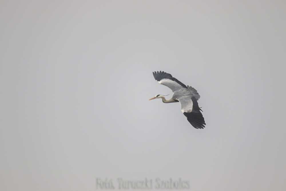 img-1777-1