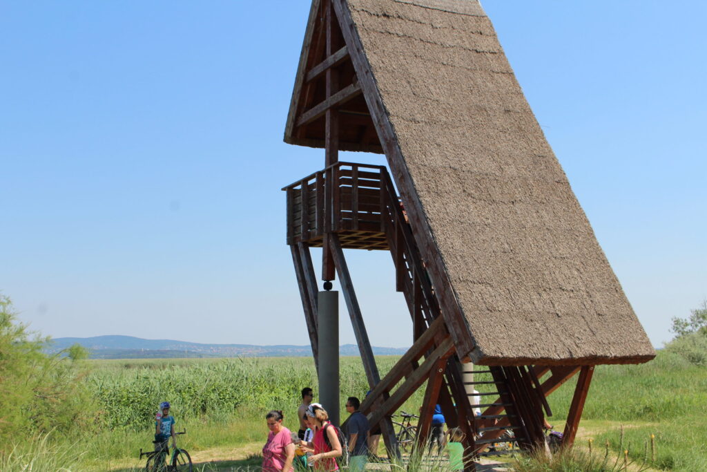 img-2000-scaled-1