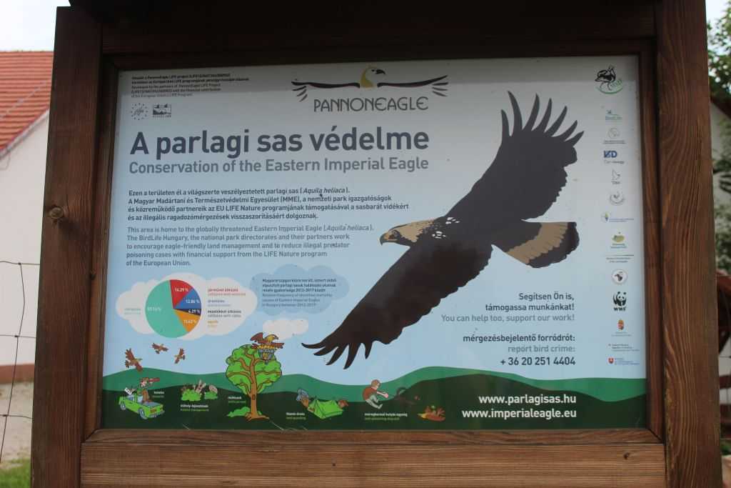 img-2141-1