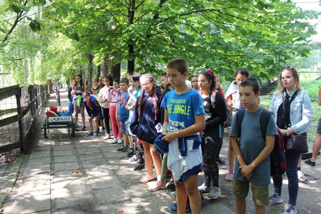 img-2167-1