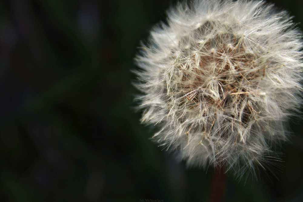 img-2188-01-1