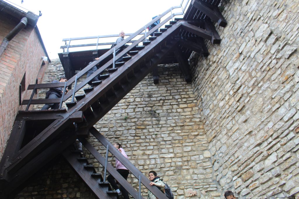 img-2236-scaled-4