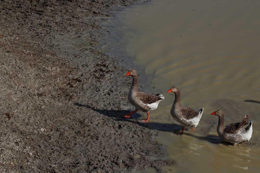 img-2281-01-2