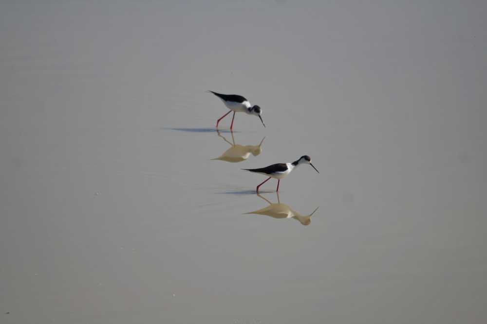img-2285-01-1