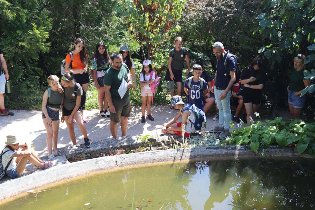 img-2369-scaled-1