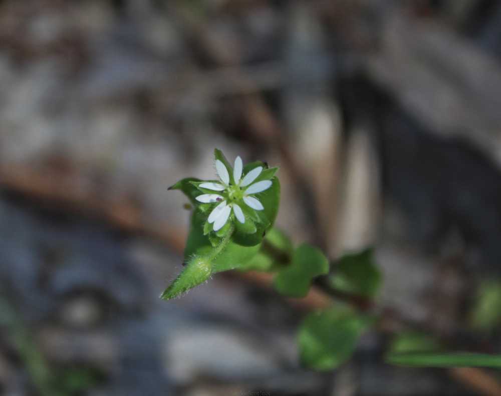 img-2460-01-2