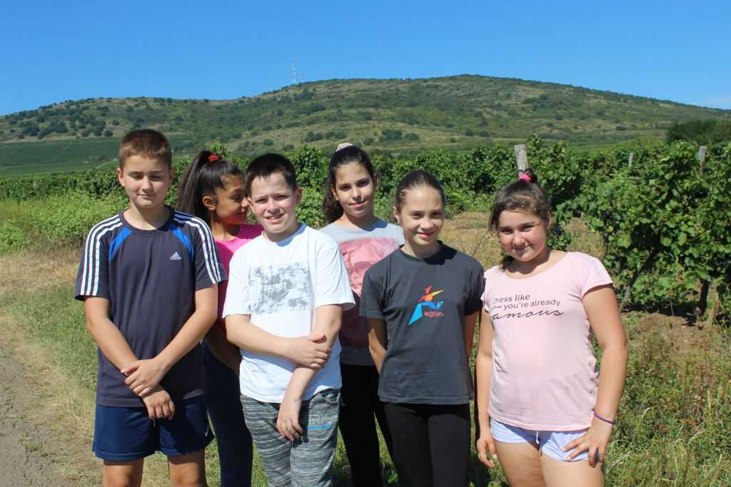 img-2462-1
