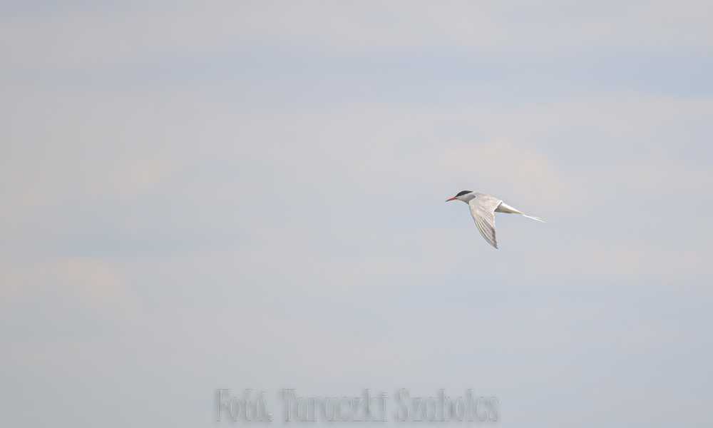 img-2522-1