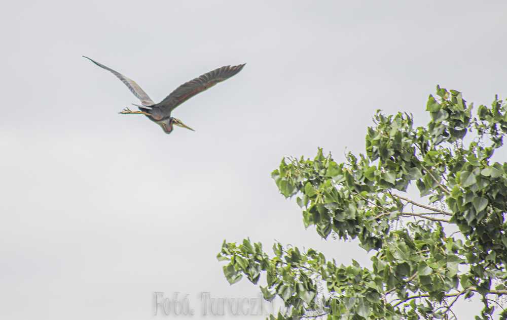img-2525-1
