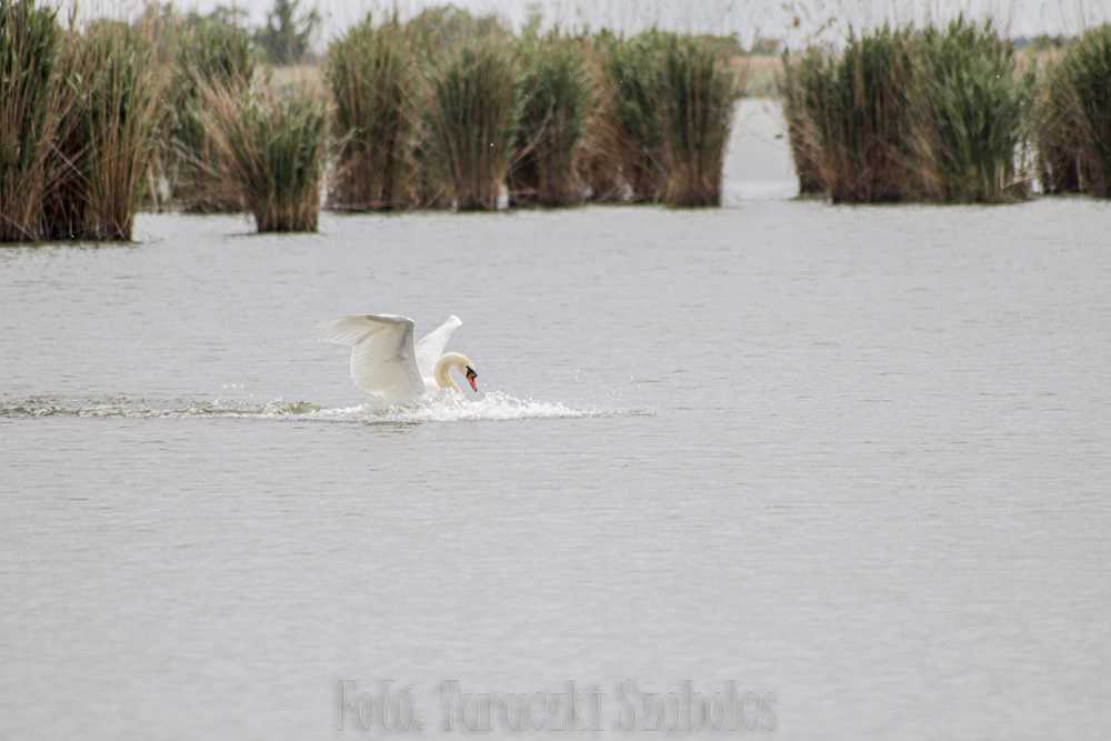 img-2543-1