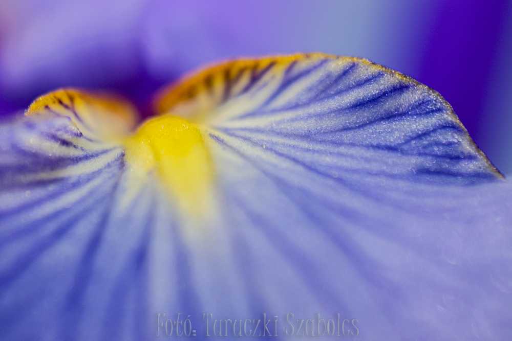 img-2632-1
