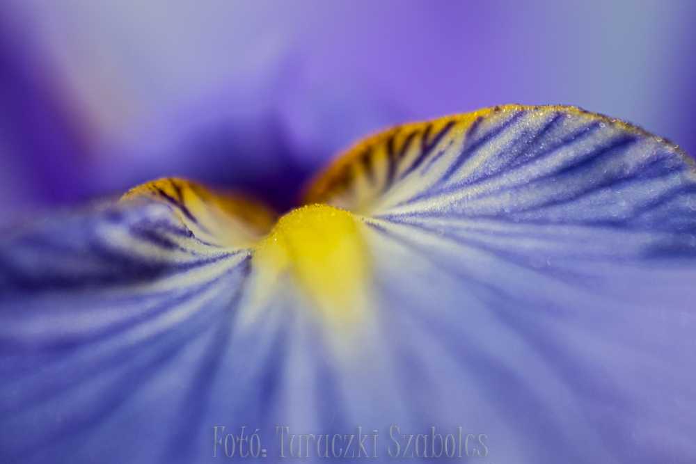 img-2638-3