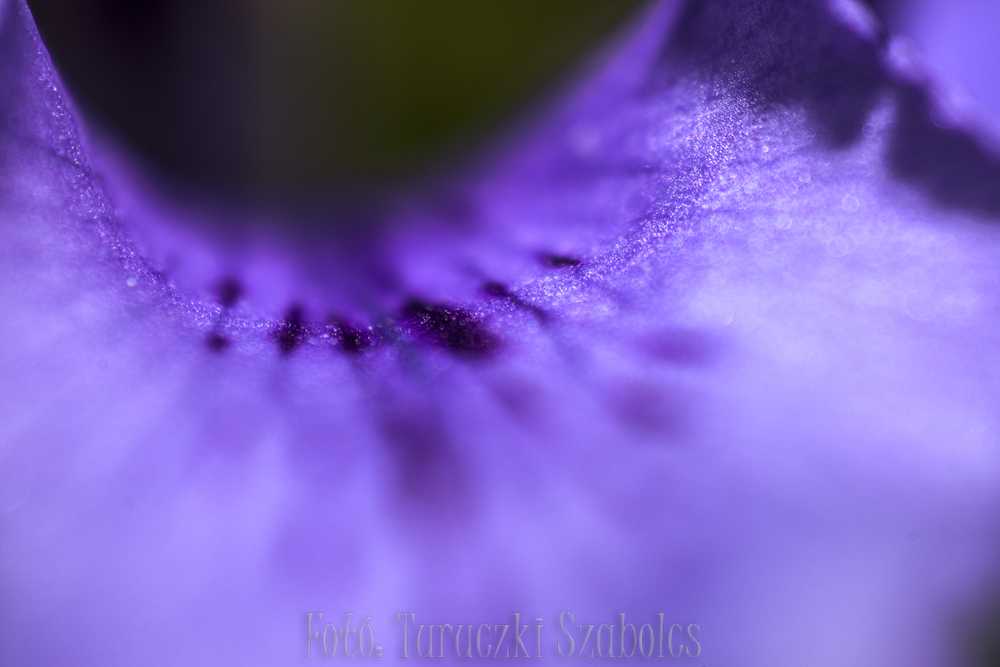 img-2677-1