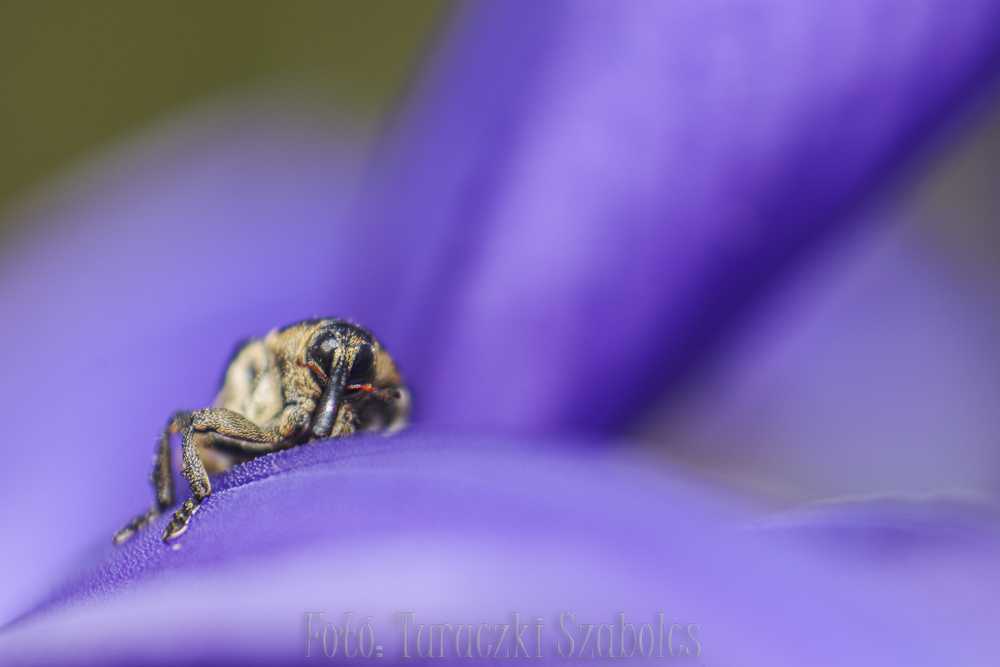 img-2679-1