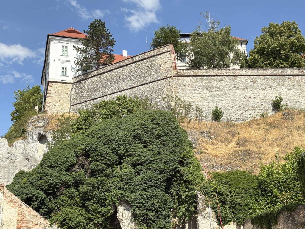 img-2696-2