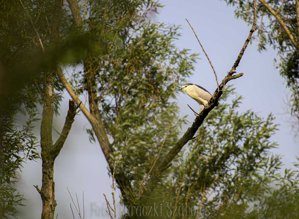 img-2734-1