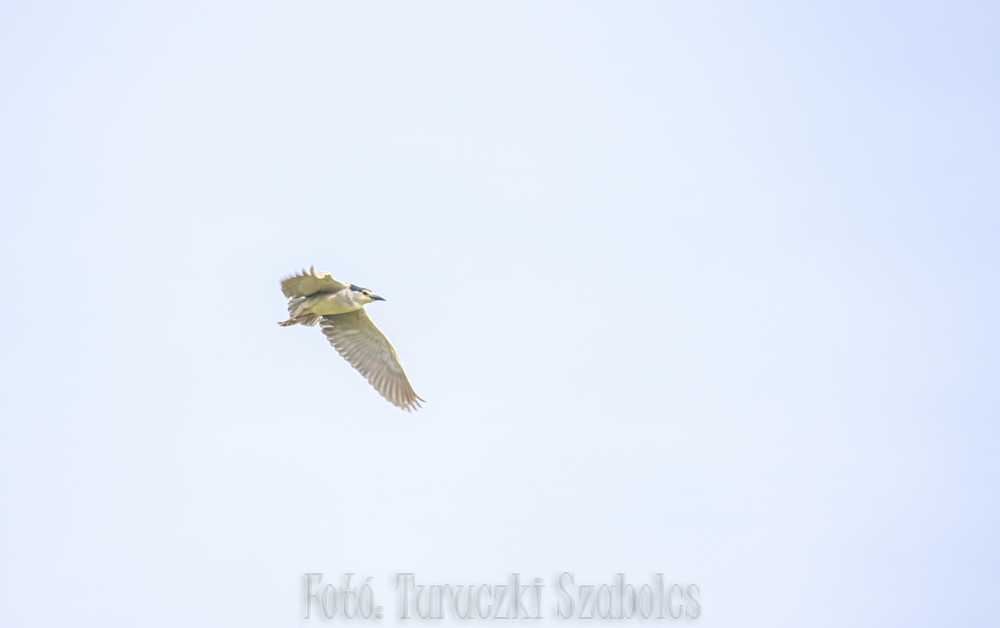 img-2750-2